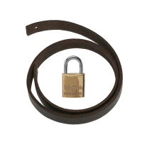 Leather Strap & Padlock-cards