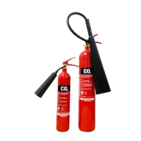 CO2 Extinguisher Disposal-cards