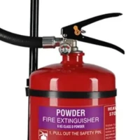 D Class Powder-cards